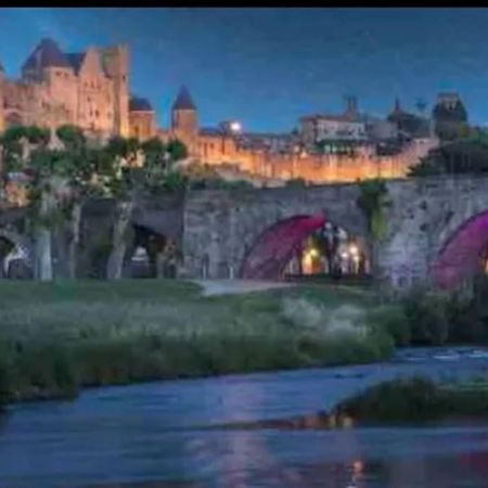 Appartement T2 Avec Vue Chateau Carcassonne Bagian luar foto