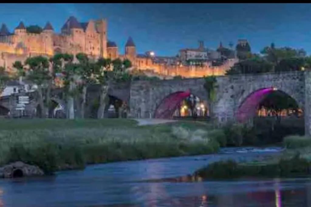Appartement T2 Avec Vue Chateau Carcassonne Bagian luar foto