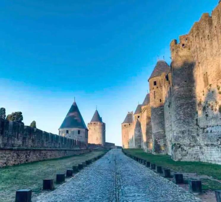 Appartement T2 Avec Vue Chateau Carcassonne Bagian luar foto