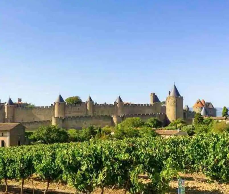 Appartement T2 Avec Vue Chateau Carcassonne Bagian luar foto